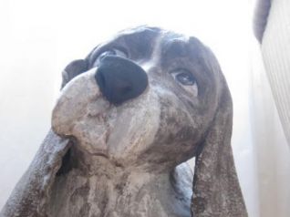 Grosser Hund 51